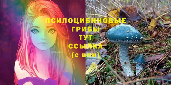 мдма Нягань