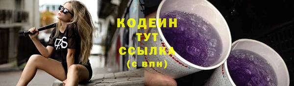 гидропоника Няндома
