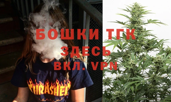 гидропоника Няндома