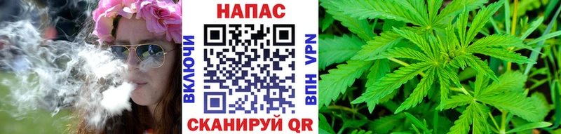 Шишки марихуана план Торжок